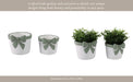 s-2-6-7-big-bow-planters-white-green-14