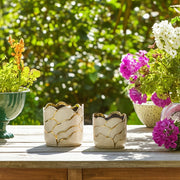 s-2-6-7-clouds-planter-ivory-gold-11