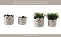 s-2-6-7-clouds-planter-ivory-gold-12