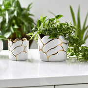 s-2-6-7-clouds-planter-wht-gld-10