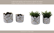 s-2-6-7-clouds-planter-wht-gld-11