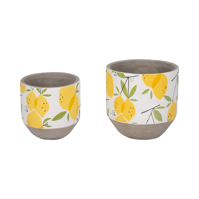 s-2-6-7-growing-lemons-planter-multi-1