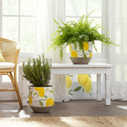s-2-6-7-growing-lemons-planter-multi-10