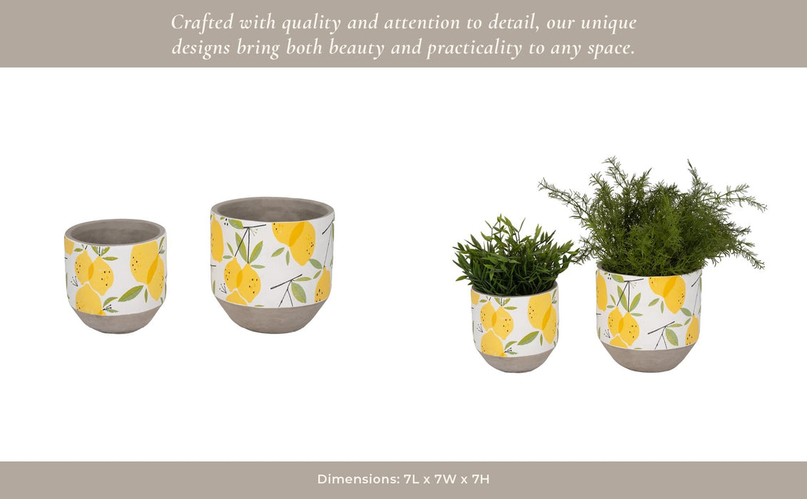 s-2-6-7-growing-lemons-planter-multi-12