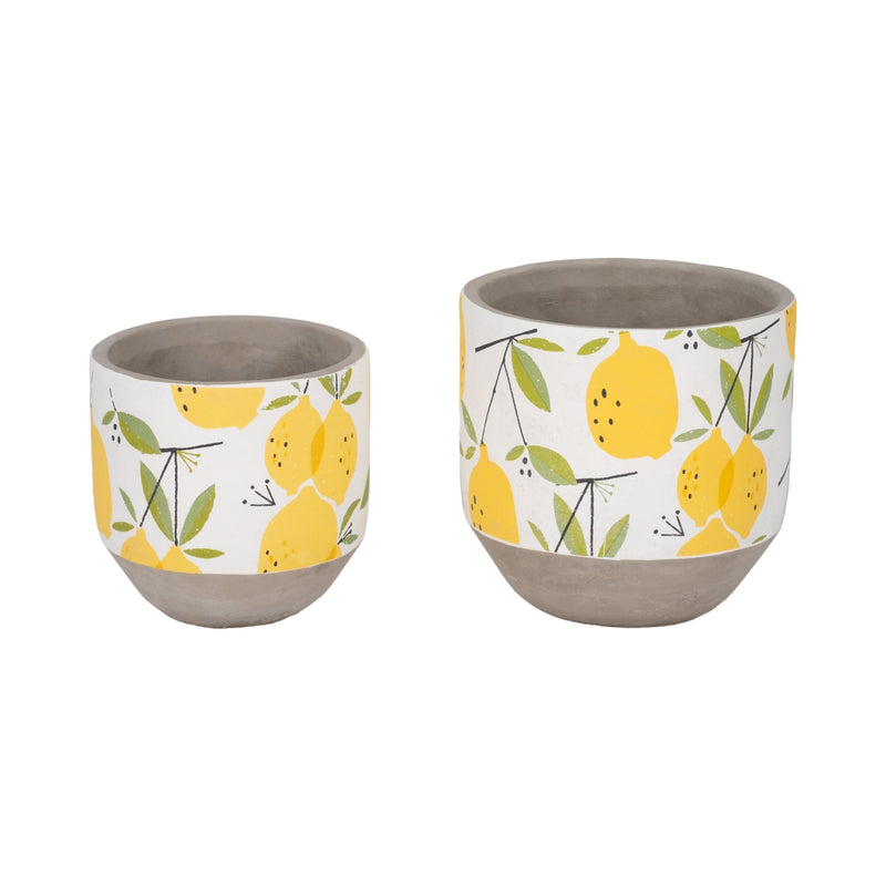 s-2-6-7-growing-lemons-planter-multi-2