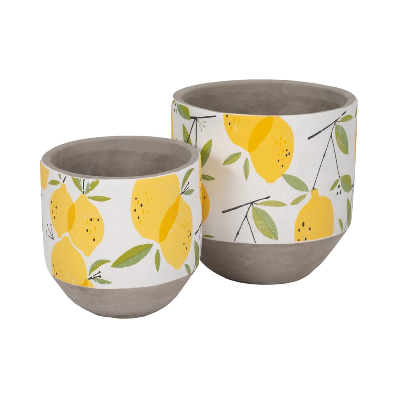s-2-6-7-growing-lemons-planter-multi-3