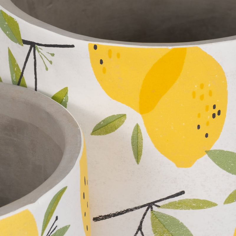 s-2-6-7-growing-lemons-planter-multi-4