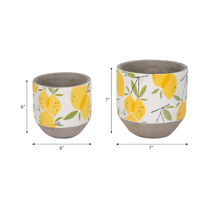 s-2-6-7-growing-lemons-planter-multi-6