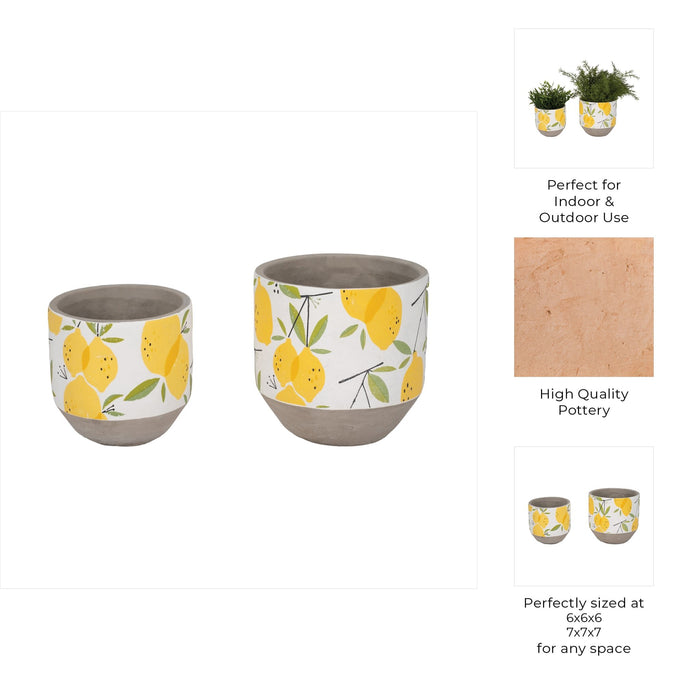 s-2-6-7-growing-lemons-planter-multi-7