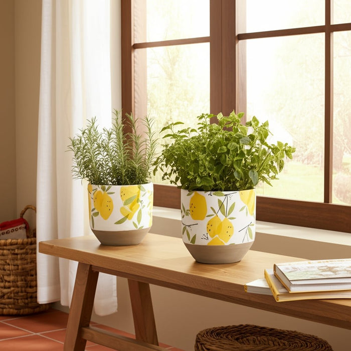 s-2-6-7-growing-lemons-planter-multi-9