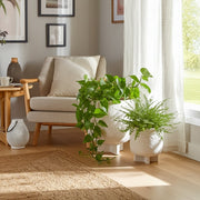 s-2-6-7-modern-footed-planters-white-9
