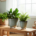s-2-6-7-organic-footed-planters-blue-10