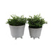 s-2-6-7-organic-footed-planters-ivory-2