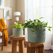 s-2-6-8-arch-planters-sage-green-10