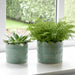 s-2-6-8-arch-planters-sage-green-11