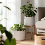 s-2-6-8-arch-planters-white-8