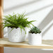 s-2-6-8-arch-planters-white-9