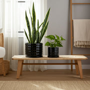 s-2-6-8-bubble-planter-black-10