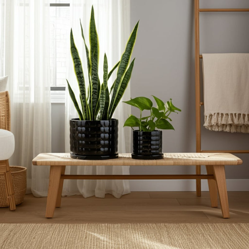 s-2-6-8-bubble-planter-black-10