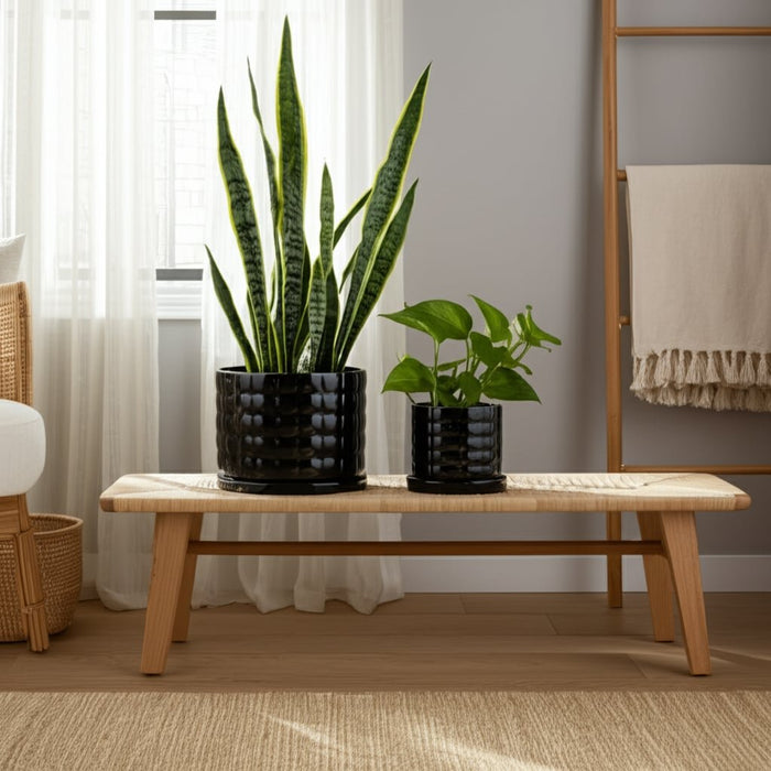 s-2-6-8-bubble-planter-black-10