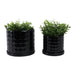 s-2-6-8-bubble-planter-black-2