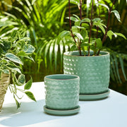 s-2-6-8-bubble-planter-w-saucer-sage-green-10