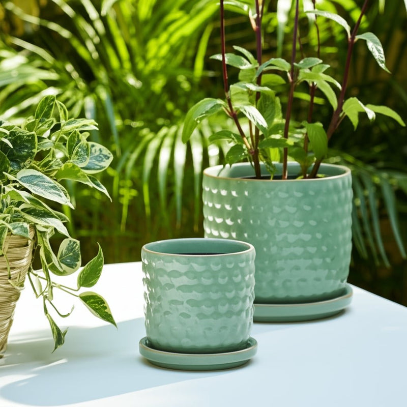 s-2-6-8-bubble-planter-w-saucer-sage-green-10