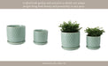 s-2-6-8-bubble-planter-w-saucer-sage-green-11