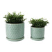 s-2-6-8-bubble-planter-w-saucer-sage-green-2