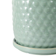 s-2-6-8-bubble-planter-w-saucer-sage-green-5