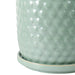 s-2-6-8-bubble-planter-w-saucer-sage-green-5