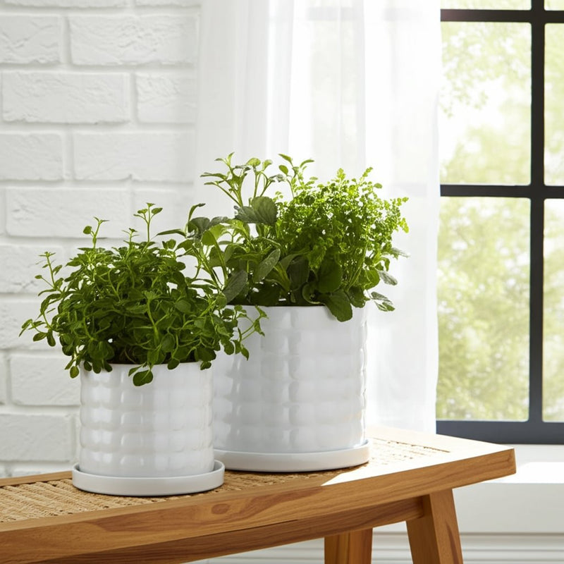 s-2-6-8-bubble-planter-white-9