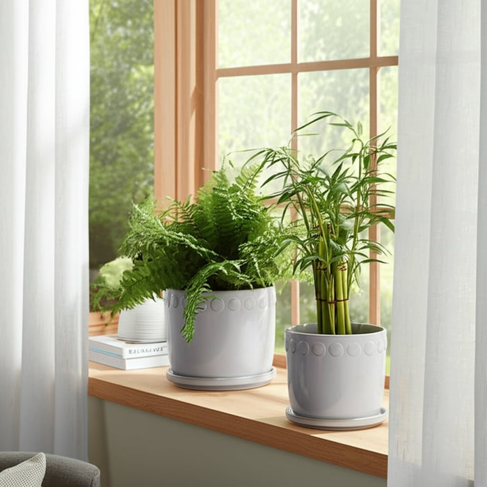 s-2-6-8-bubble-trim-planter-w-saucer-white-10