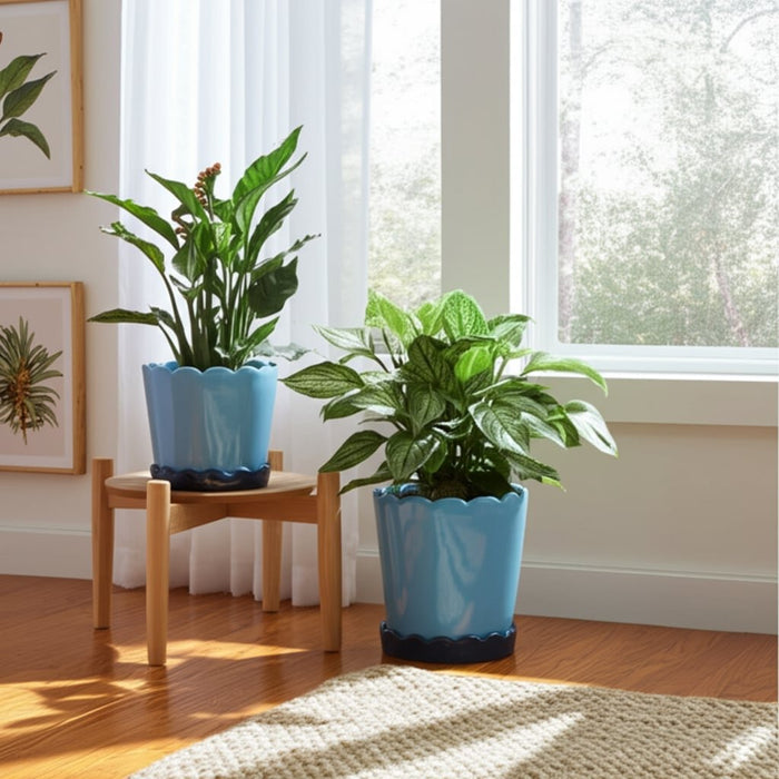 s-2-6-8-color-block-scallop-edge-planters-blue-10