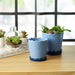 s-2-6-8-color-block-scallop-edge-planters-blue-12