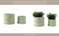 s-2-6-8-daisy-flower-planter-green-10