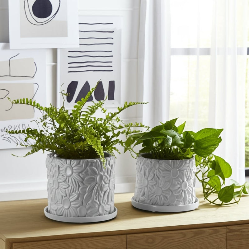 s-2-6-8-daisy-flower-planter-white-10