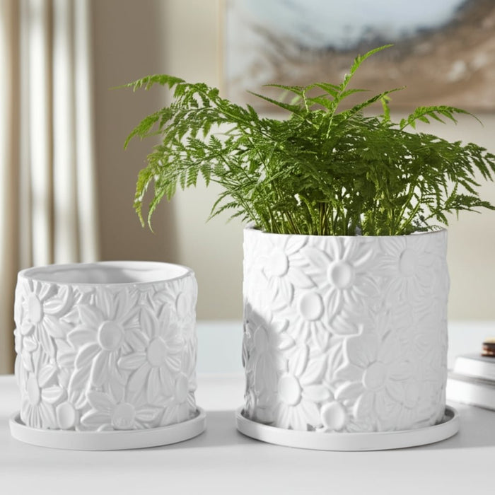 s-2-6-8-daisy-flower-planter-white-11