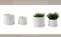 s-2-6-8-daisy-flower-planter-white-12