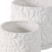 s-2-6-8-daisy-flower-planter-white-6