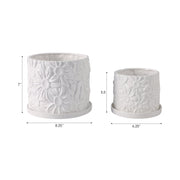 s-2-6-8-daisy-flower-planter-white-8