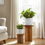 s-2-6-8-dotted-planter-w-saucer-white-10