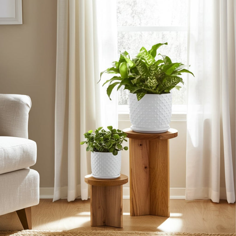 s-2-6-8-dotted-planter-w-saucer-white-10