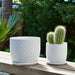 s-2-6-8-dotted-planter-w-saucer-white-11