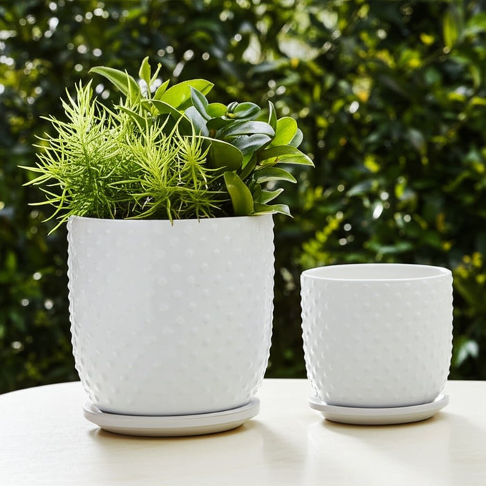 s-2-6-8-dotted-planter-w-saucer-white-12