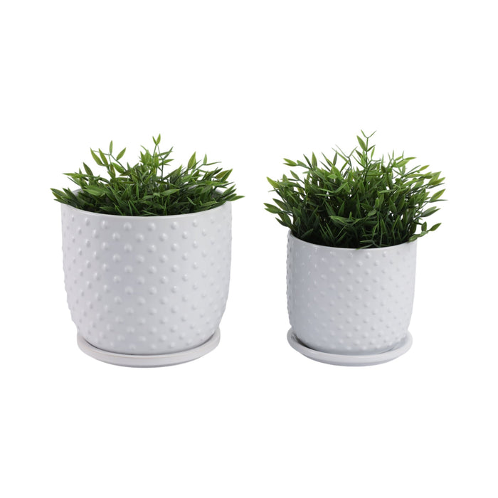 s-2-6-8-dotted-planter-w-saucer-white-2