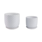 s-2-6-8-dotted-planter-w-saucer-white-3