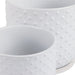 s-2-6-8-dotted-planter-w-saucer-white-6