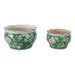 s-2-6-8-floral-chinoiserie-planters-green-2