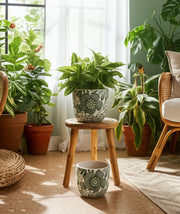 s-2-6-8-flower-power-planters-white-green-10